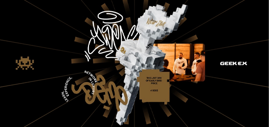 營銷會(huì)議極客EX的品牌標(biāo)識與標(biāo)志設(shè)計(jì)和網(wǎng)站